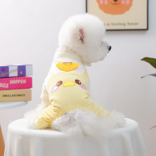 Dog Apparel