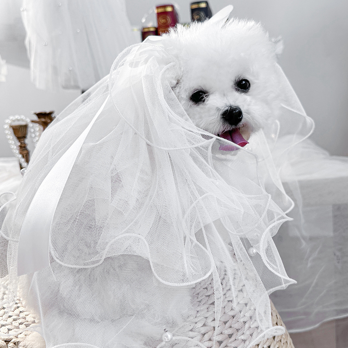 Bridal Veil detail